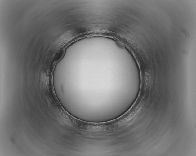 X0000110881257200907021450