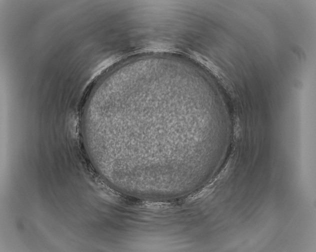 X0000110881258200907021450