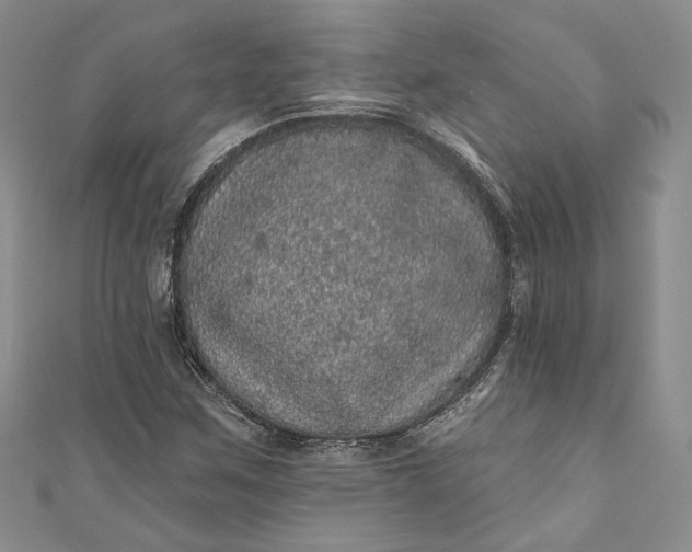 X0000110881259200907021450