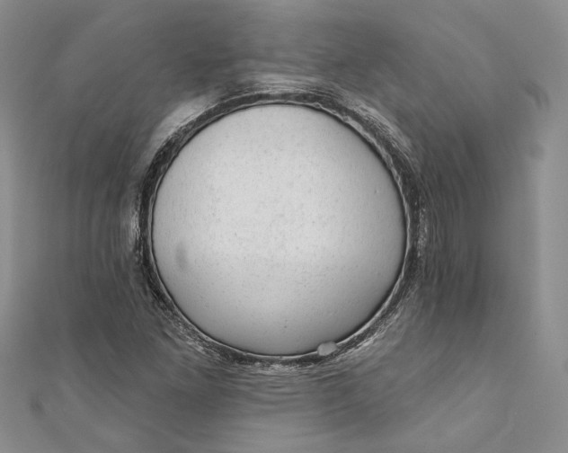 X0000110881261200907021450