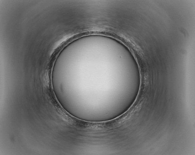 X0000110881262200907021450