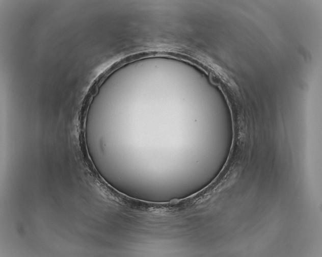 X0000110881264200907021449