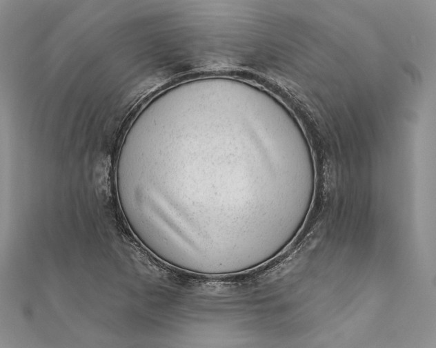 X0000110881265200907021449