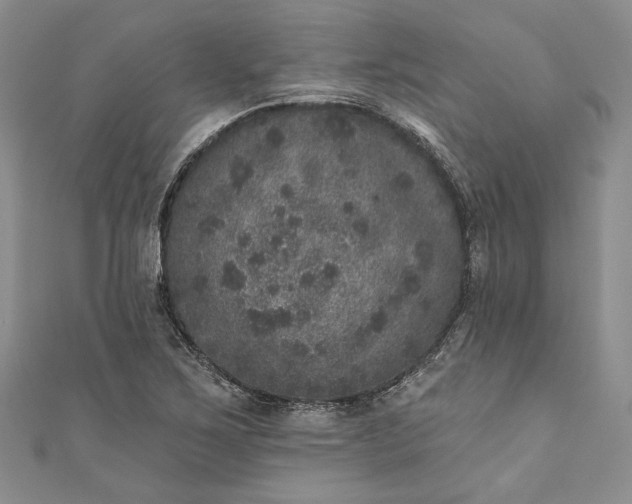 X0000110881267200907021449
