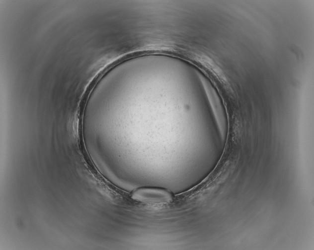X0000110881268200907021449
