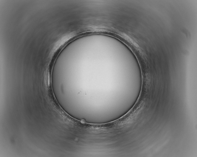 X0000110881269200907021449