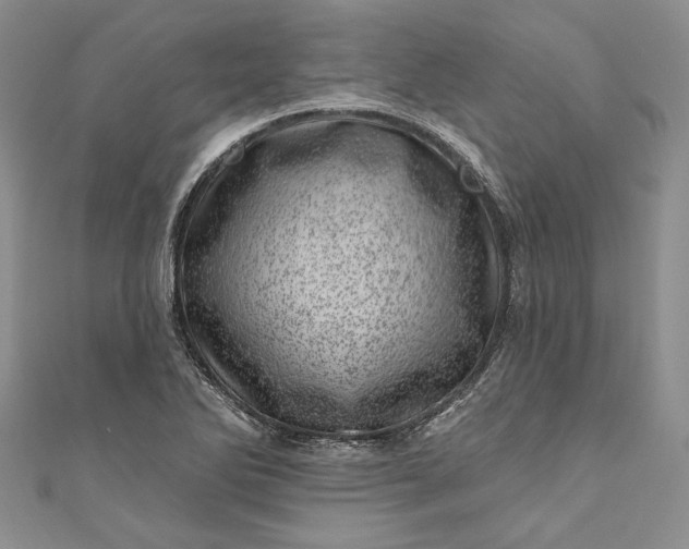 X0000110881270200907021449