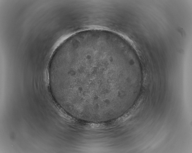 X0000110881271200907021449