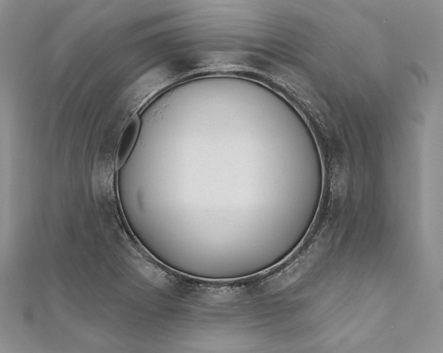 X0000110881273200907021449