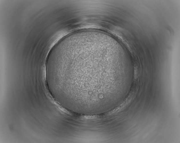 X0000110881274200907021449
