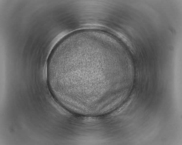 X0000110881275200907021449
