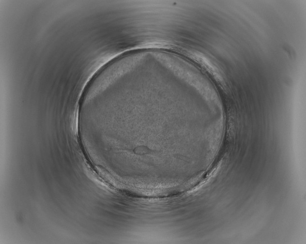 X0000110881276200907021449