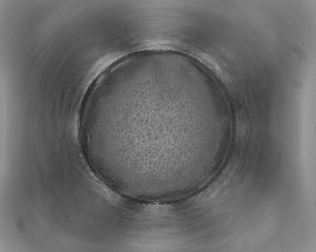 X0000110881277200907021449
