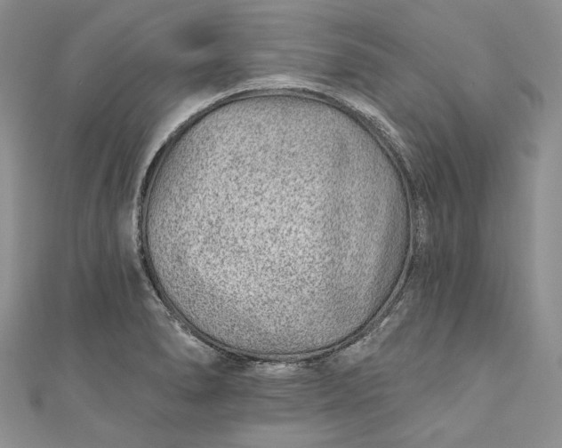 X0000110881278200907021449