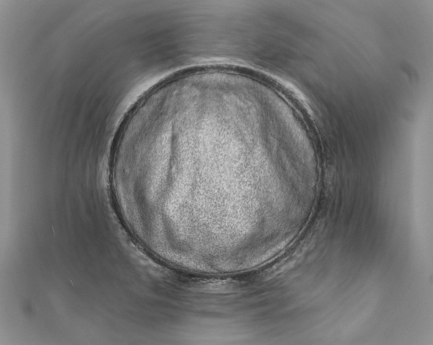 X0000110881279200907021449