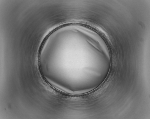 X0000110881280200907021449