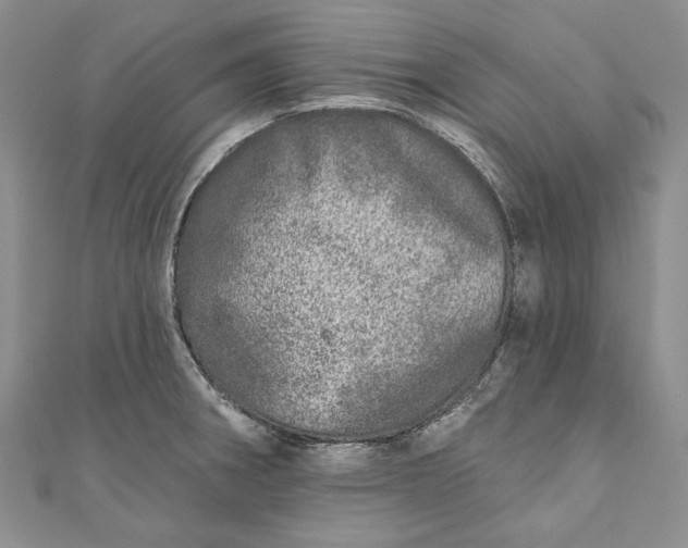 X0000110881282200907021449