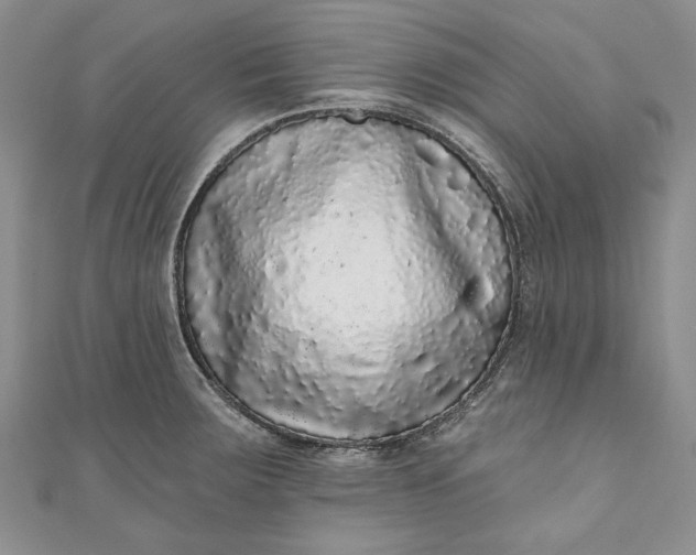 X0000110881283200907021449