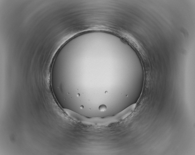 X0000110881284200907021449
