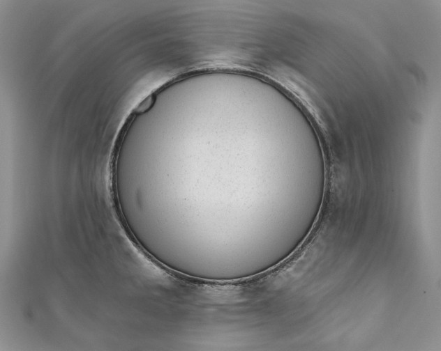 X0000110881285200907021449