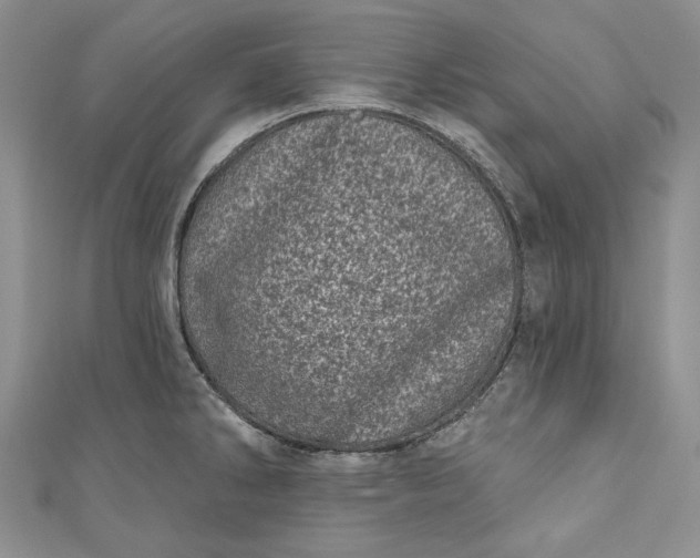 X0000110881286200907021449