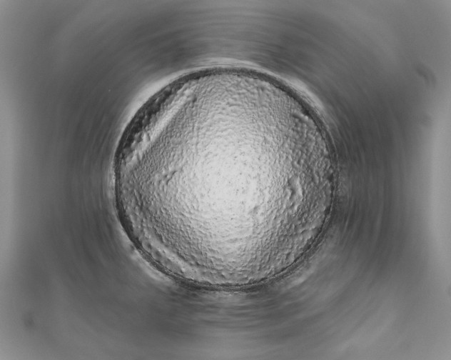 X0000110881287200907021449