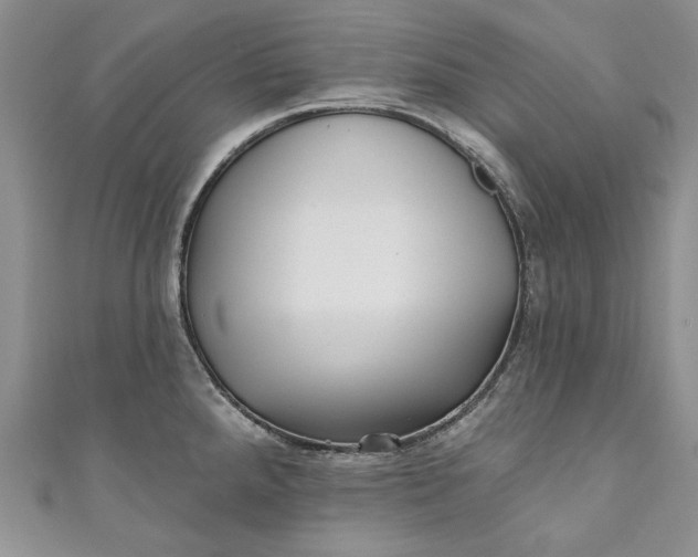 X0000110881288200907021449