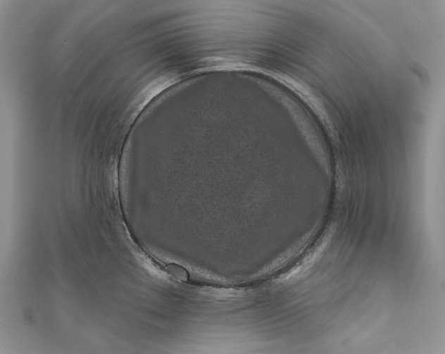 X0000110881289200907021449
