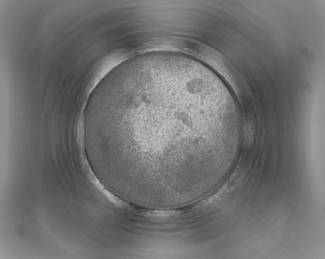X0000110881290200907021449