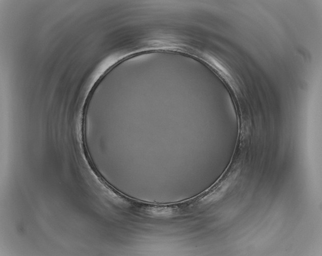X0000110881291200907021449