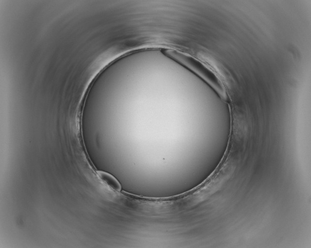 X0000110881292200907021449