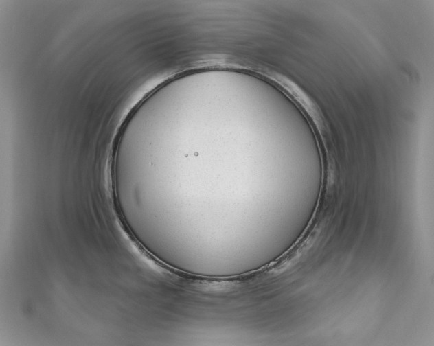 X0000110881293200907021449