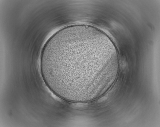 X0000110881294200907021449