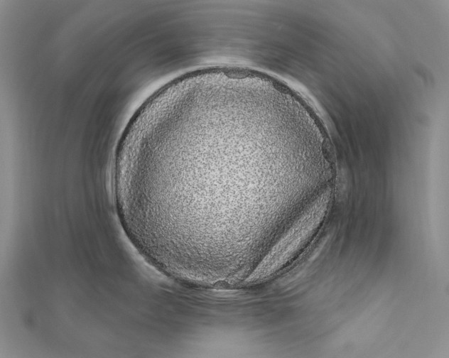 X0000110881295200907021449
