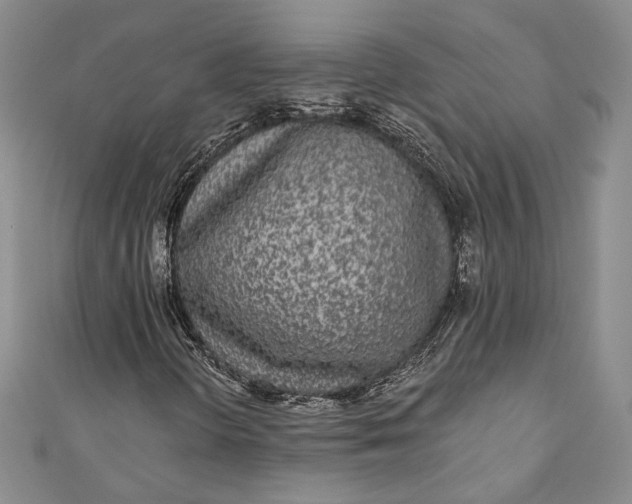 X0000110881298200907021448