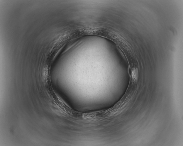 X0000110881299200907021449