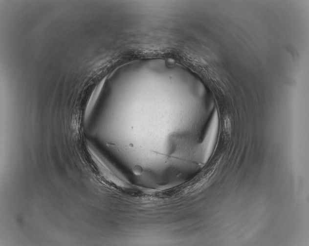X0000110881300200907021449