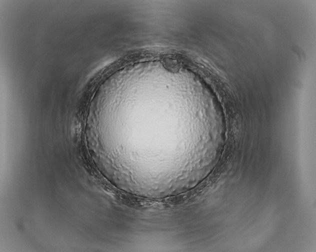 X0000110881302200907021449