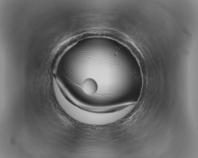 X0000110881304200907021449