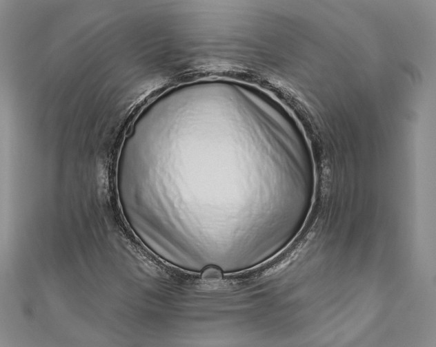 X0000110881305200907021449