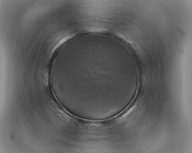 X0000110881306200907021449