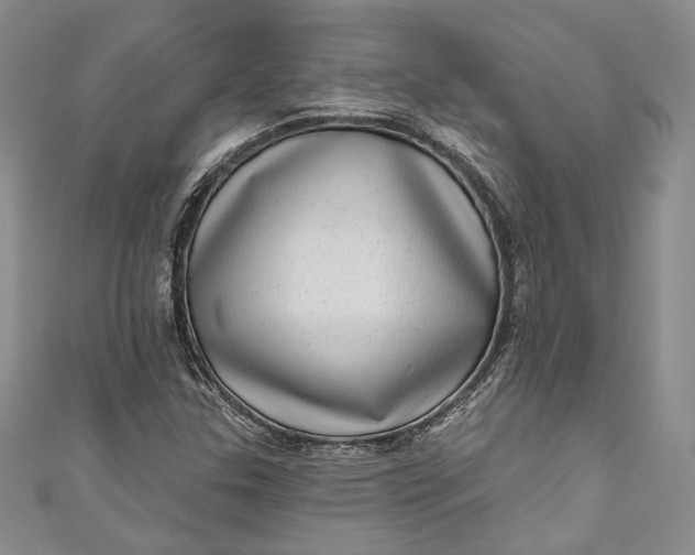 X0000110881307200907021449