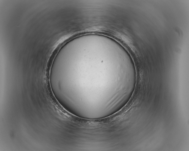 X0000110881308200907021449