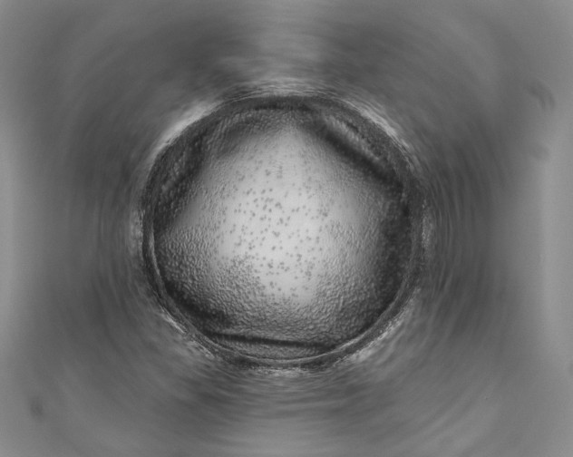 X0000110881309200907021449