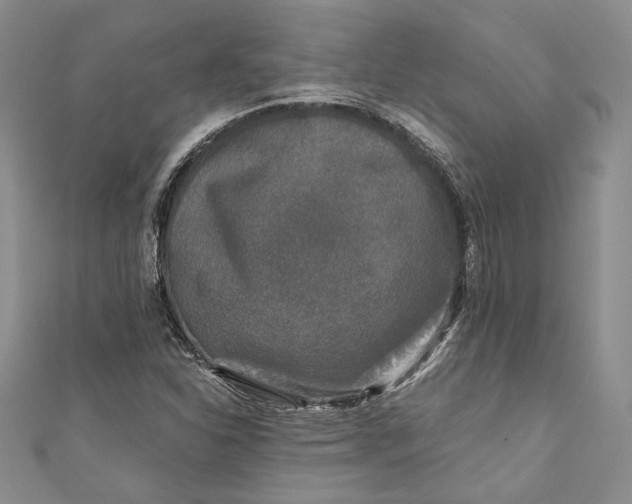 X0000110881310200907021449