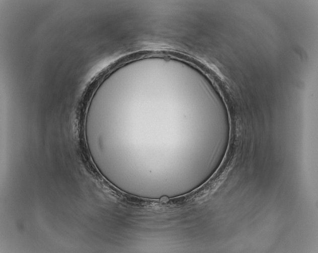 X0000110881311200907021449