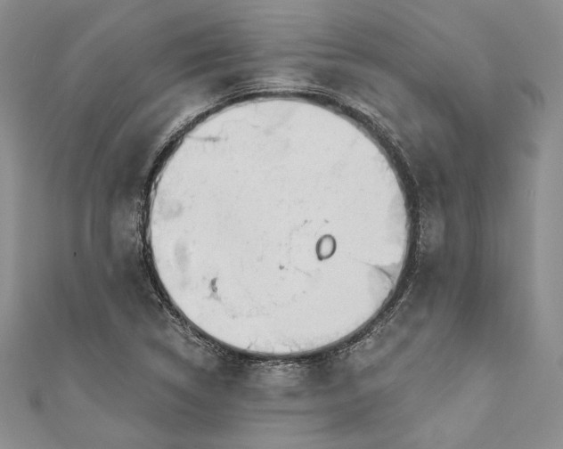 X0000110881314200907021449