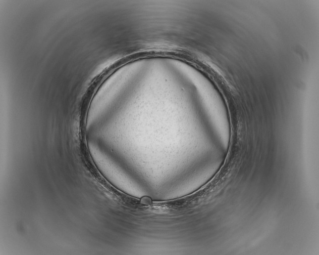 X0000110881315200907021449