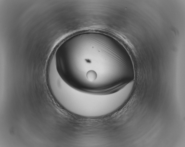 X0000110881316200907021449