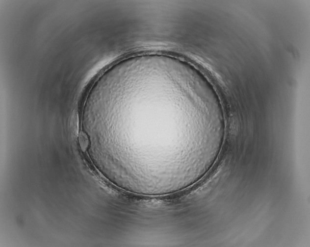 X0000110881317200907021449